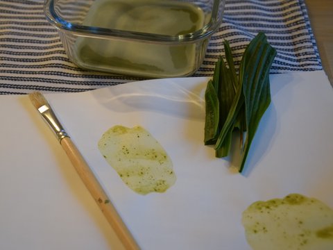 Auf dem Foto abgebildet sind ein Pinsel, ein Blatt Papier mit grünen Farbversuchen, grüne Blätter einer Pflanze und eine Schüssel mit der selbst hergestellten grünen Farbe.