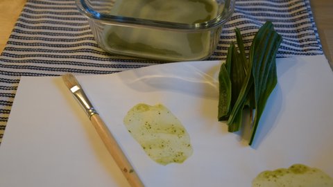 Lernumgebung "Farbenwerkstatt: Wir stellen Farben selbst her!" öffnen Auf dem Foto abgebildet sind ein Pinsel, ein Blatt Papier mit grünen Farbversuchen, grüne Blätter einer Pflanze und eine Schüssel mit der selbst hergestellten grünen Farbe.