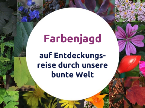 Das Bild besteht aus drei Komponenten. Im Hintergrund befinden sich mehrere Fotos von Pflanzen (Blüten, Früchten, Blättern), die verschiedene Farben abbilden. Darüber liegt ein weißer Kreis. Im weißen Kreis steht die Schrift "Farbenjagd - Auf Entdeckungsreise durch unsere bunte Welt".
