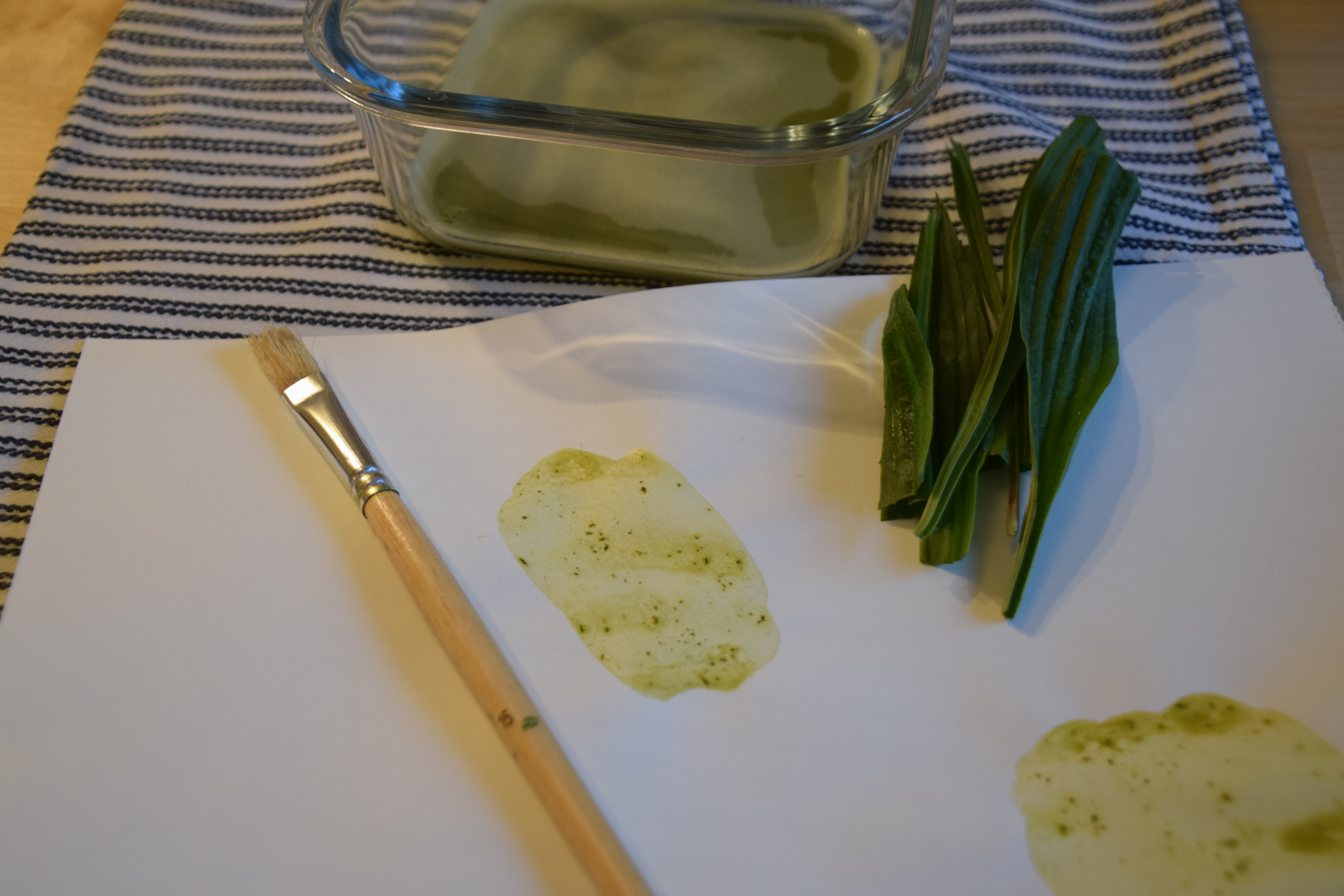 Auf dem Foto abgebildet sind ein Pinsel, ein Blatt Papier mit grünen Farbversuchen, grüne Blätter einer Pflanze und eine Schüssel mit der selbst hergestellten grünen Farbe.